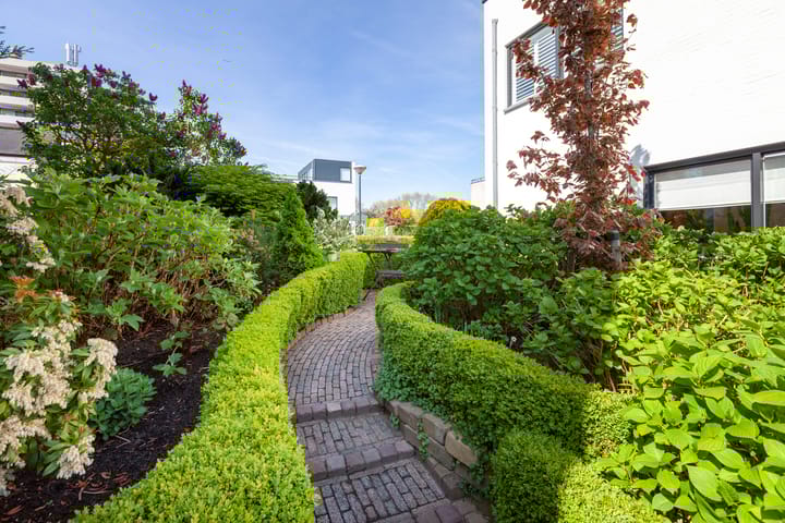 Foto 35 van Vegakade 2