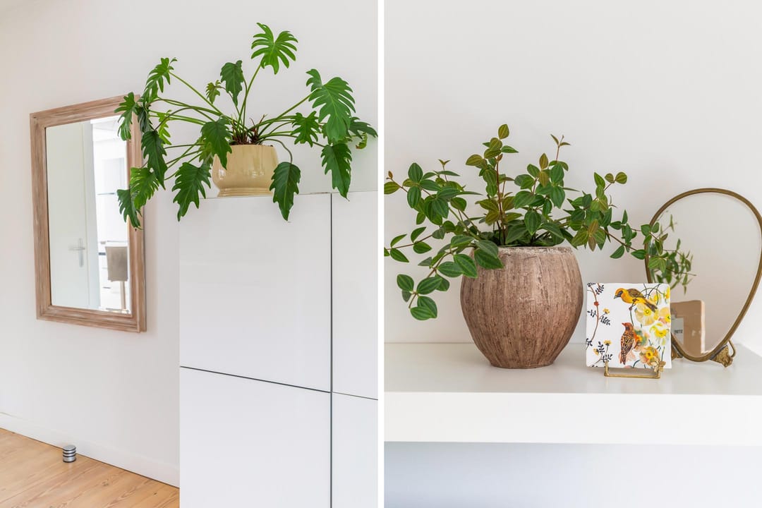 Foto 17 van Weegschaal 59