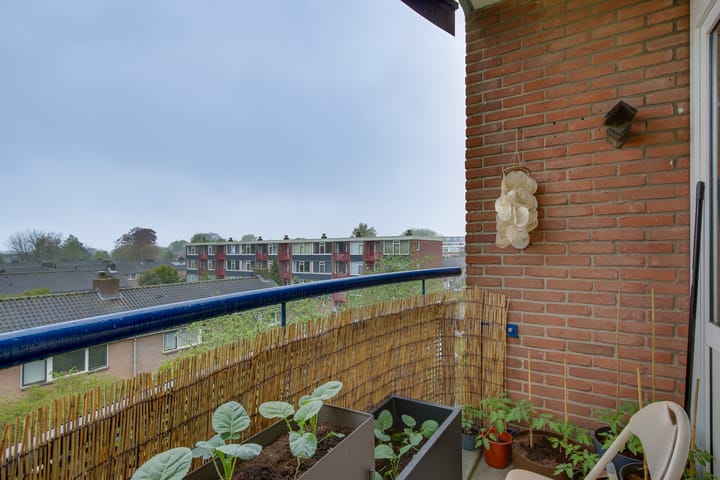 Foto 17 van Deltalaan 262