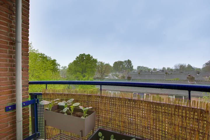 Foto 23 van Deltalaan 262