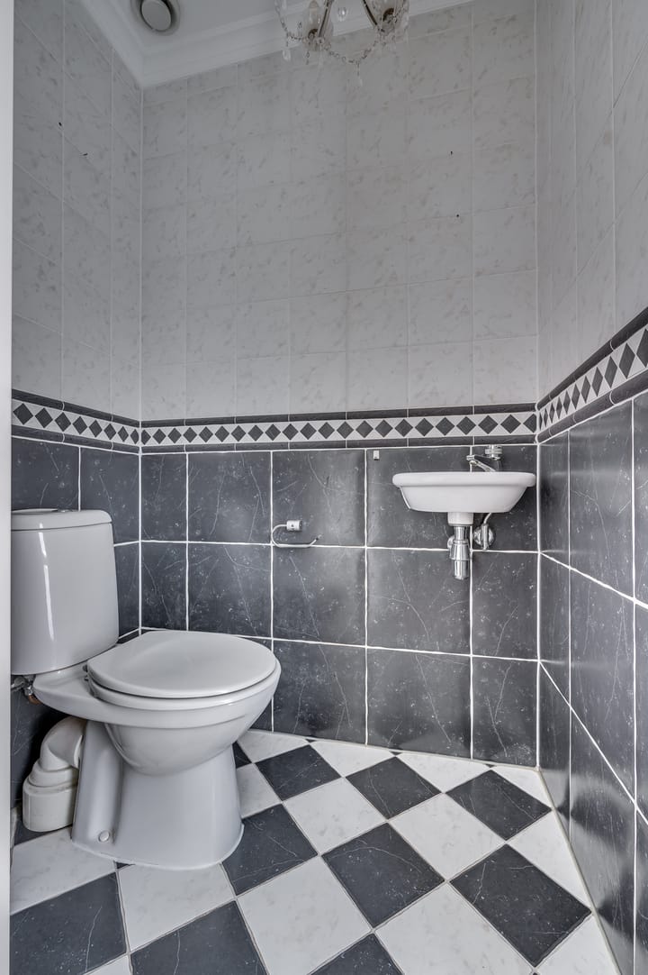 Foto 21 van Zonnedauw 21