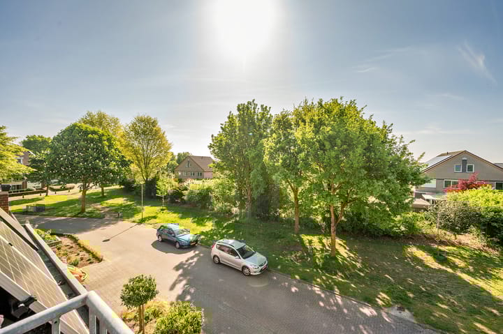 Foto 42 van Zonnedauw 21