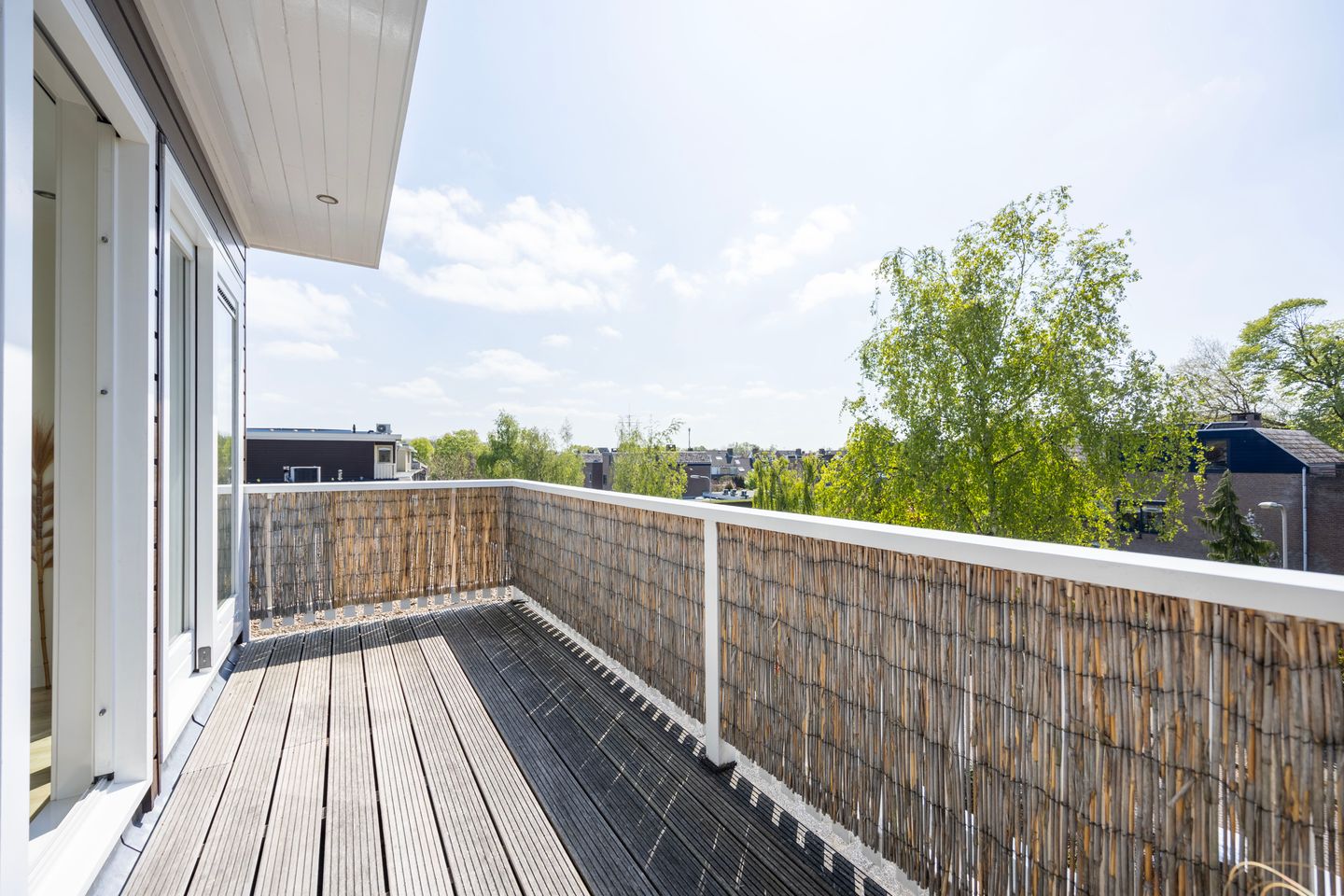 Photo 40 of Schaepmanlaan 1