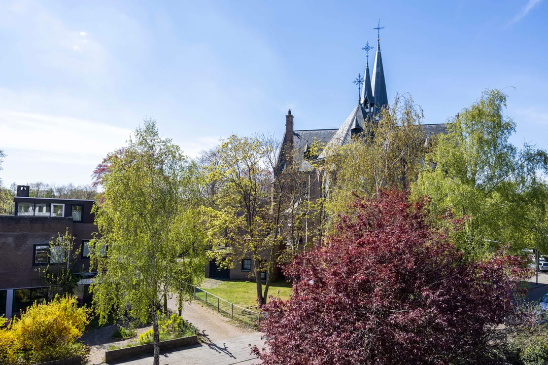 Photo 41 of Schaepmanlaan 1