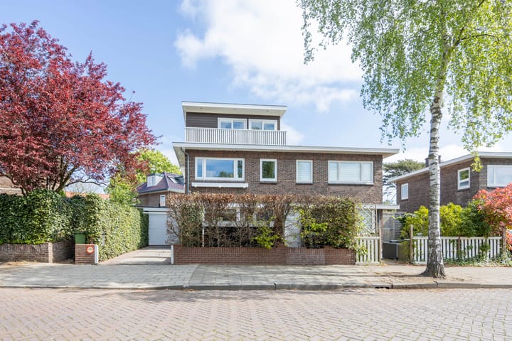 Foto 47 van Schaepmanlaan 1