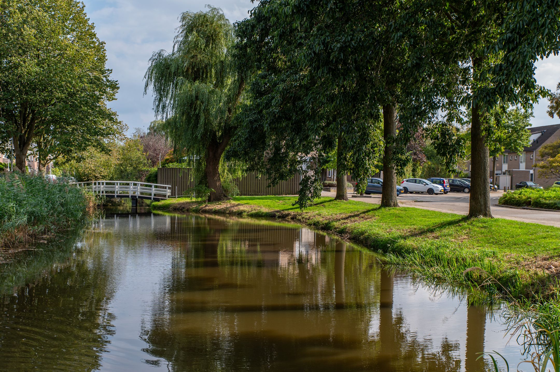 Foto 36 van Muntstraat 185