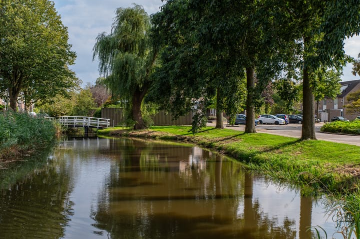 Foto 36 van Muntstraat 185