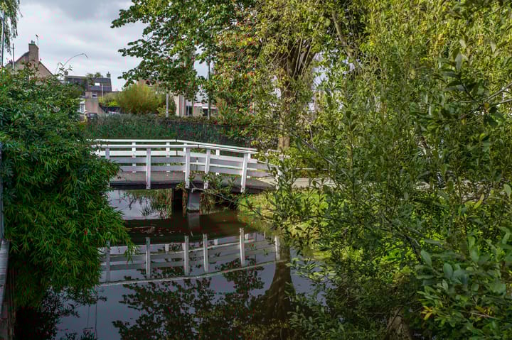 Foto 37 van Muntstraat 185