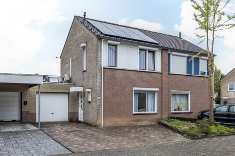 undefined main image