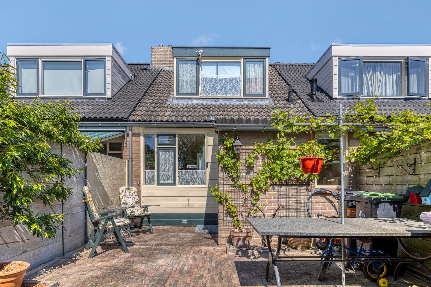 Sleutelbloem 55 main image