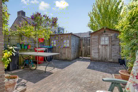 Sleutelbloem 55 tertiary image