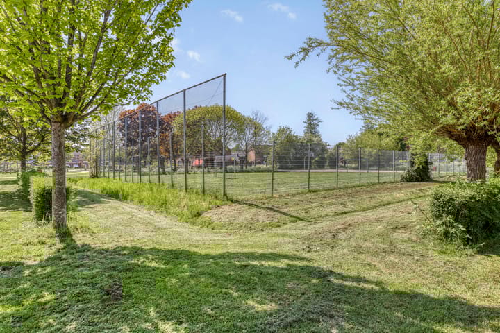 Foto 28 van Sleutelbloem 55