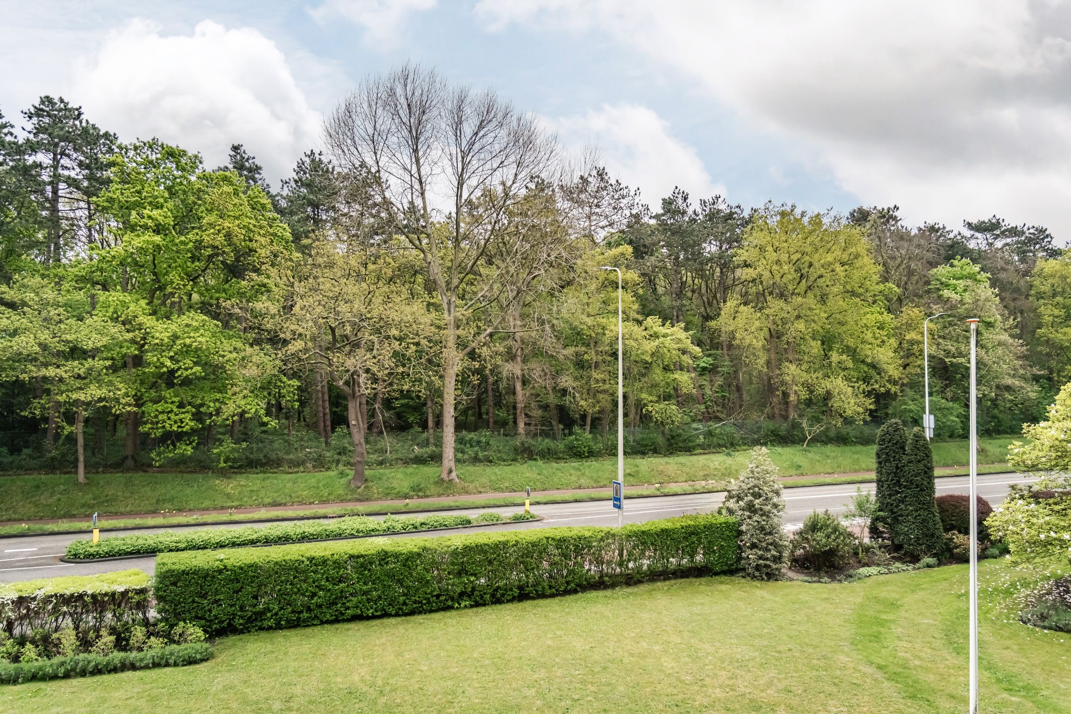 Foto 18 van Merwedeplantsoen 22