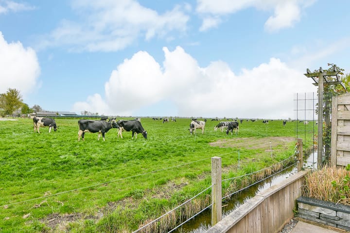 Foto 24 van Mient 92