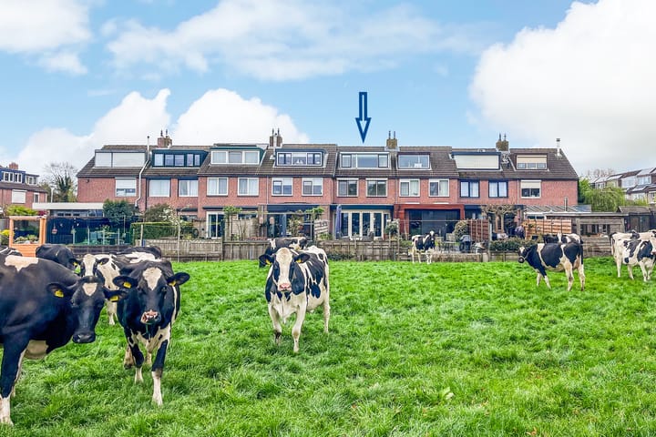 Foto 40 van Mient 92