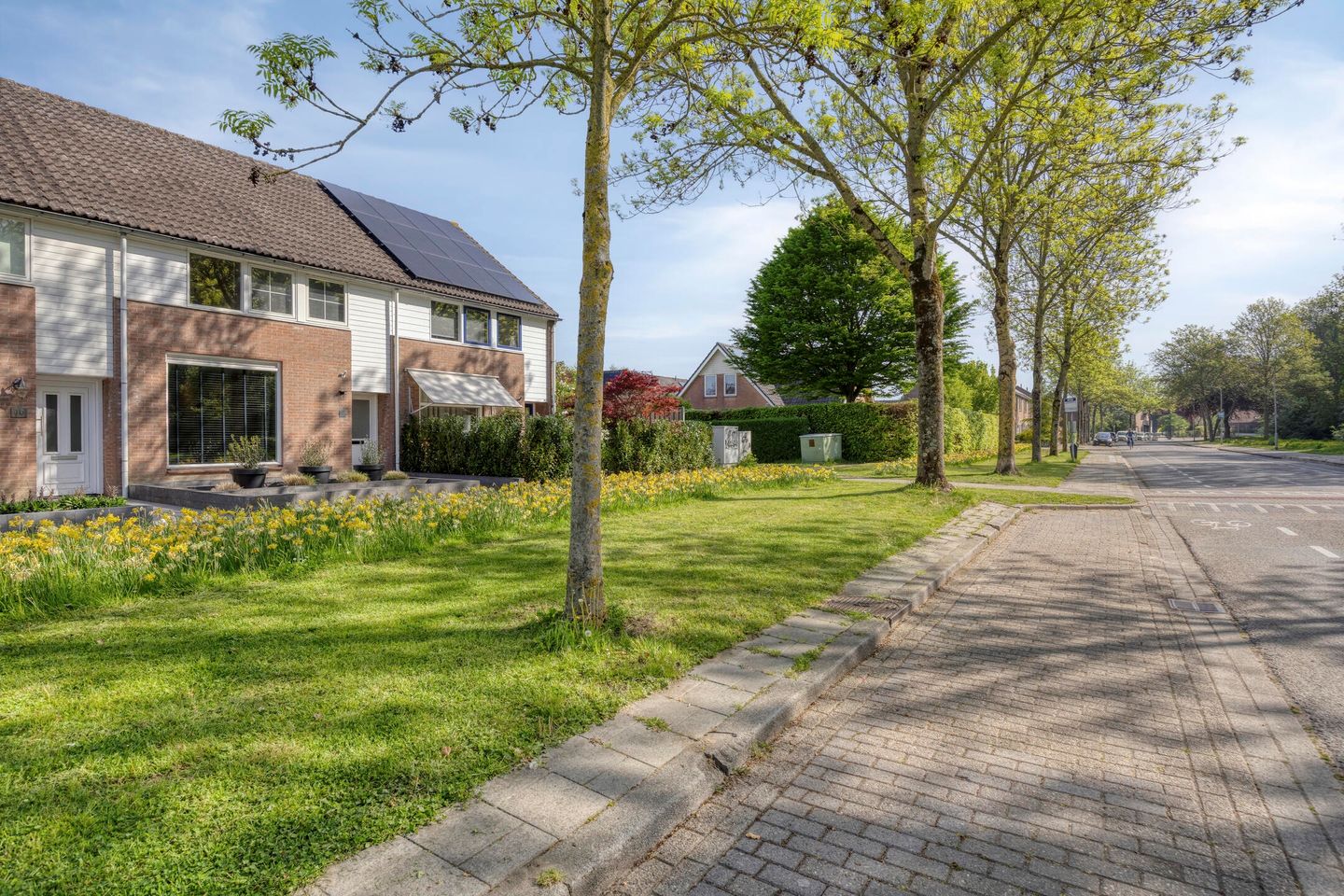 Foto 4 van Eendvogelstraat 38