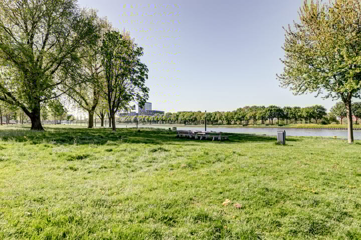 Foto 25 van Amerikalaan 669