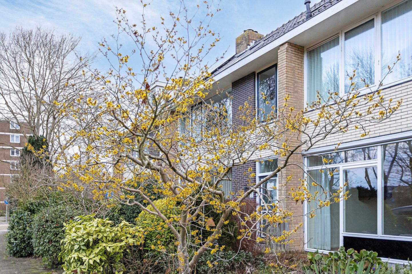 Photo 4 of Admiraal de Ruyterlaan 14