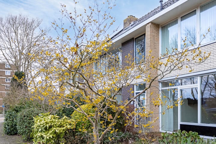 Foto 4 van Admiraal de Ruyterlaan 14