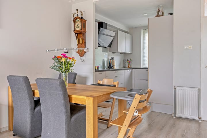 Foto 6 van Hoogmeer 1346