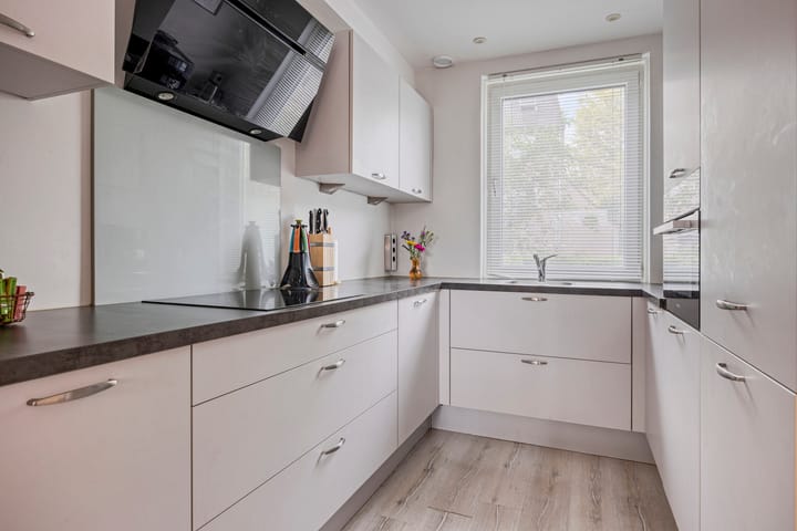 Foto 7 van Hoogmeer 1346