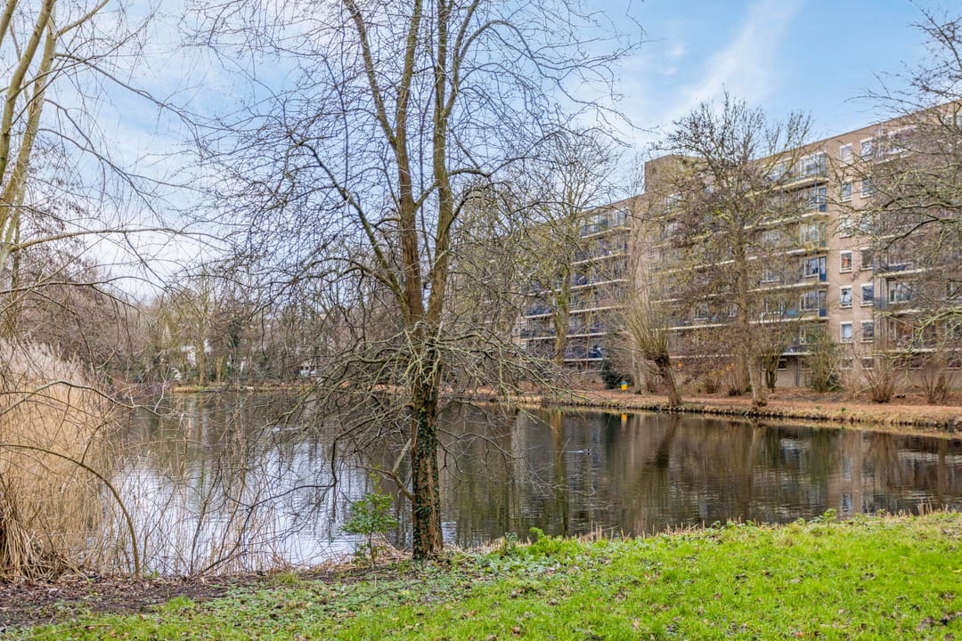 Photo 43 of Admiraal de Ruyterlaan 14