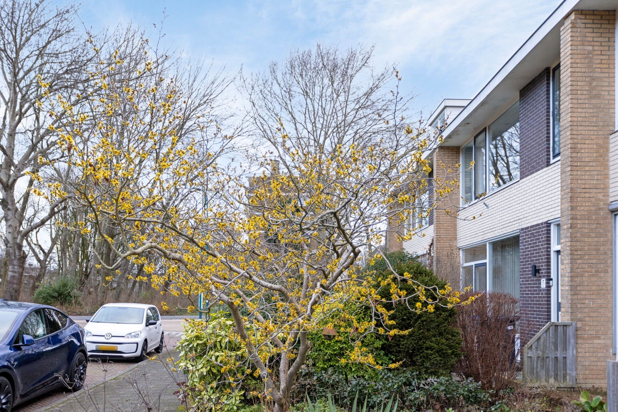 Photo 48 of Admiraal de Ruyterlaan 14