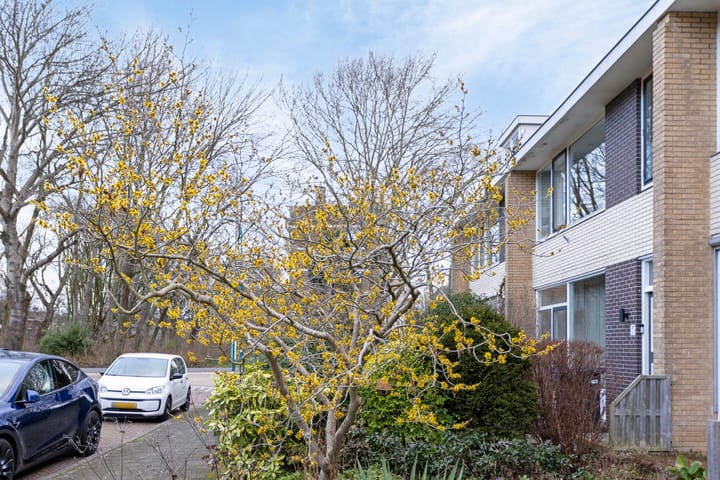 Foto 48 van Admiraal de Ruyterlaan 14