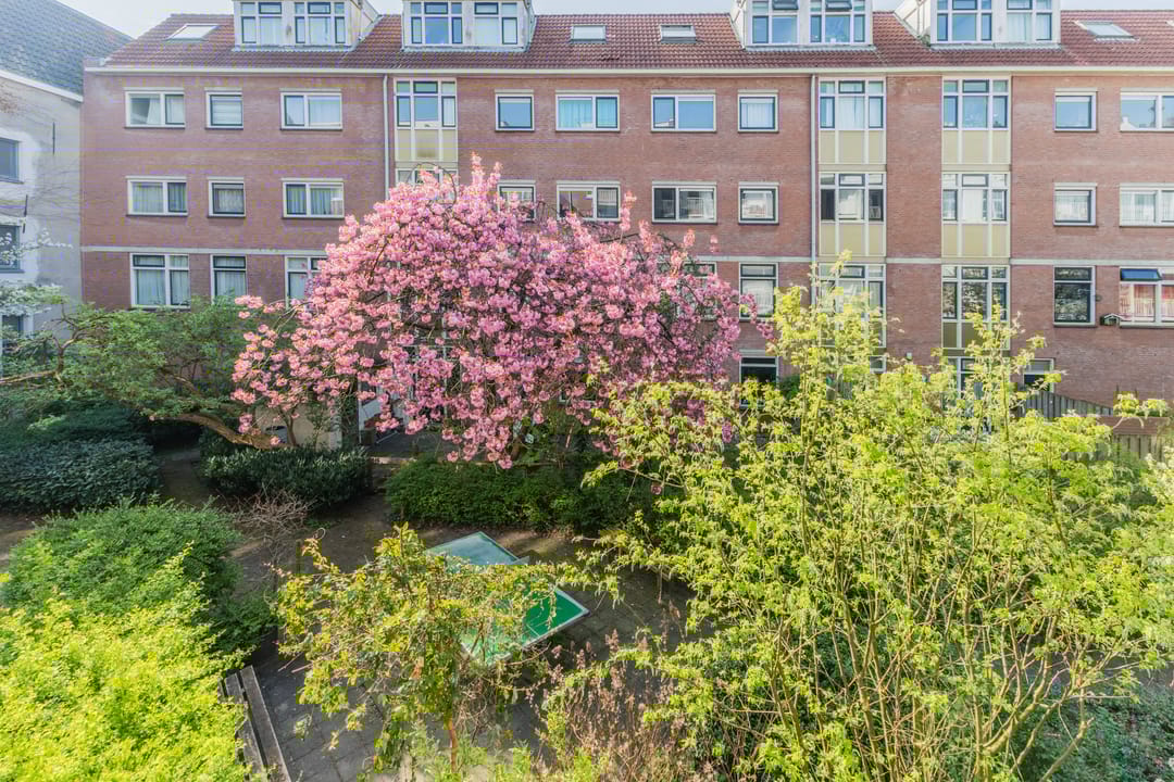 Foto 16 van Barentszstraat 117