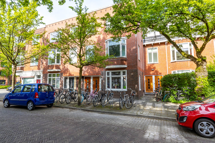 Professor Rankestraat 49