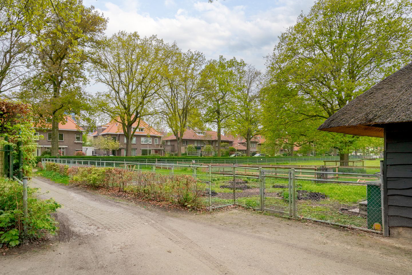 Foto 5 van Westerlaan 46
