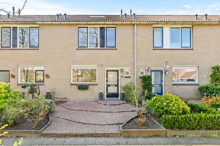 Foto 2 van Bakboord 8