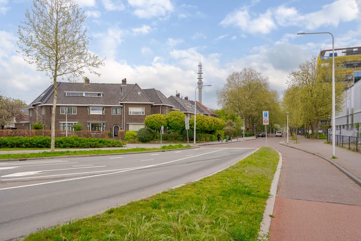 Foto 55 van Westerlaan 46