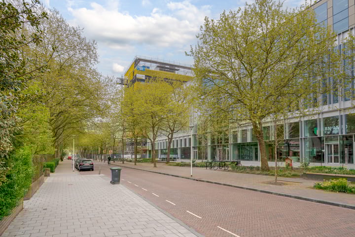 Foto 56 van Westerlaan 46