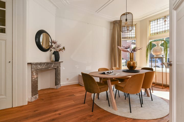 Foto 9 van Van Aerssenstraat 209