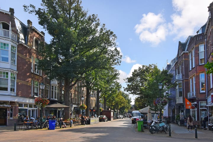 Foto 47 van Van Aerssenstraat 209