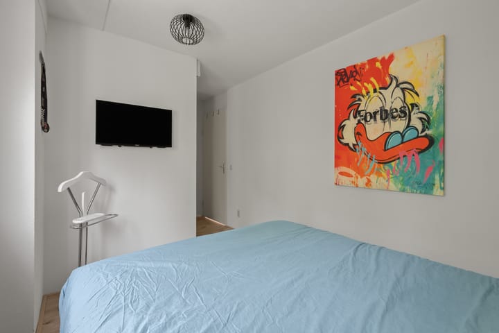 Photo 31 of Zomerpolder 7