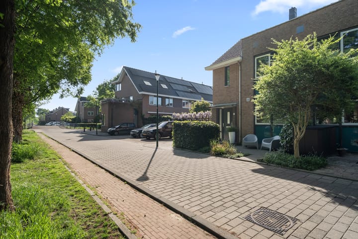 Photo 51 of Zomerpolder 7