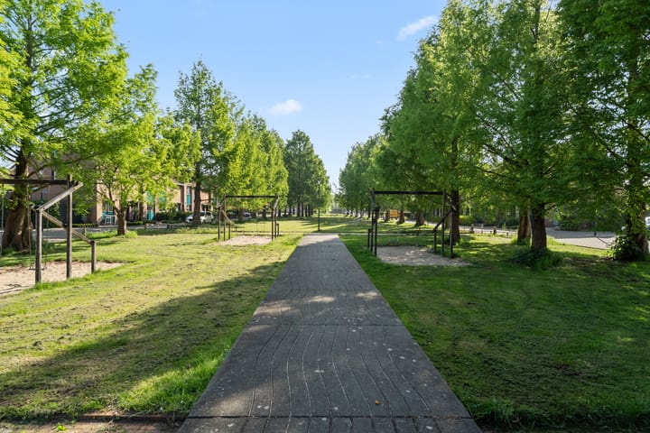 Photo 53 of Zomerpolder 7