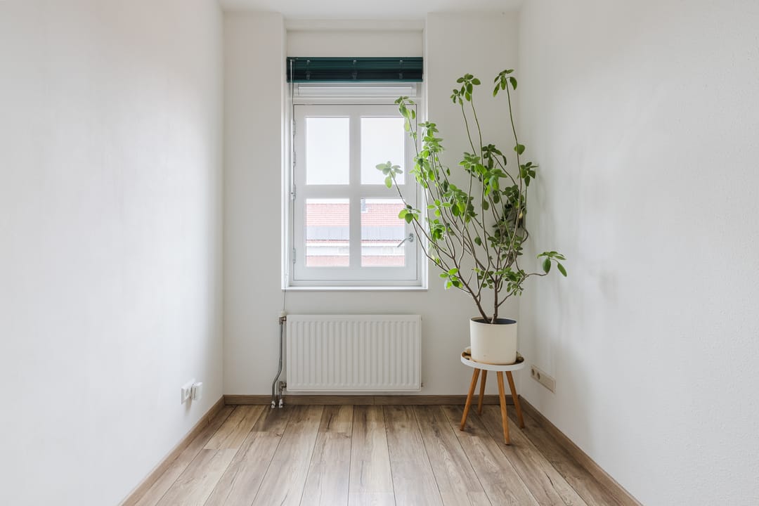 Photo 17 of Molenwiek 10