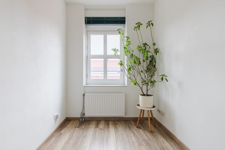 Foto 17 van Molenwiek 10