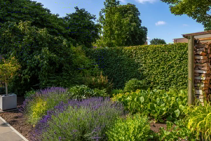 Foto 49 van Akkerwinde 6