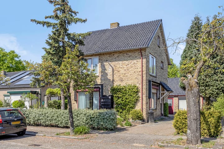 undefined main image