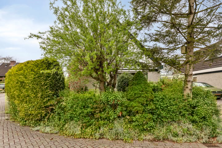 Foto 6 van De Wilgen 10