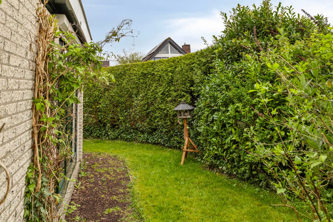 Photo 32 of De Wilgen 10