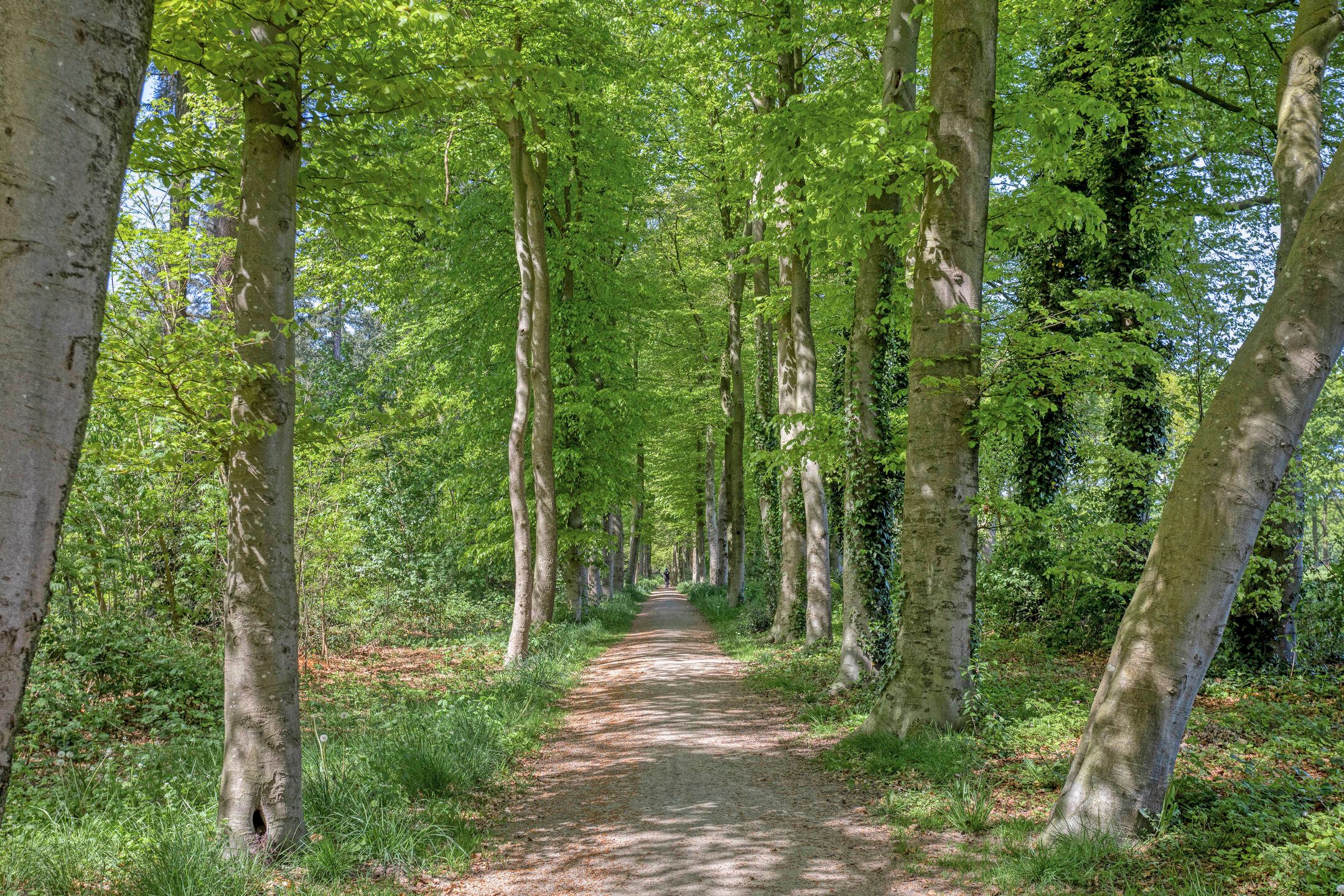 Foto 45 van Van Galenstraat 6