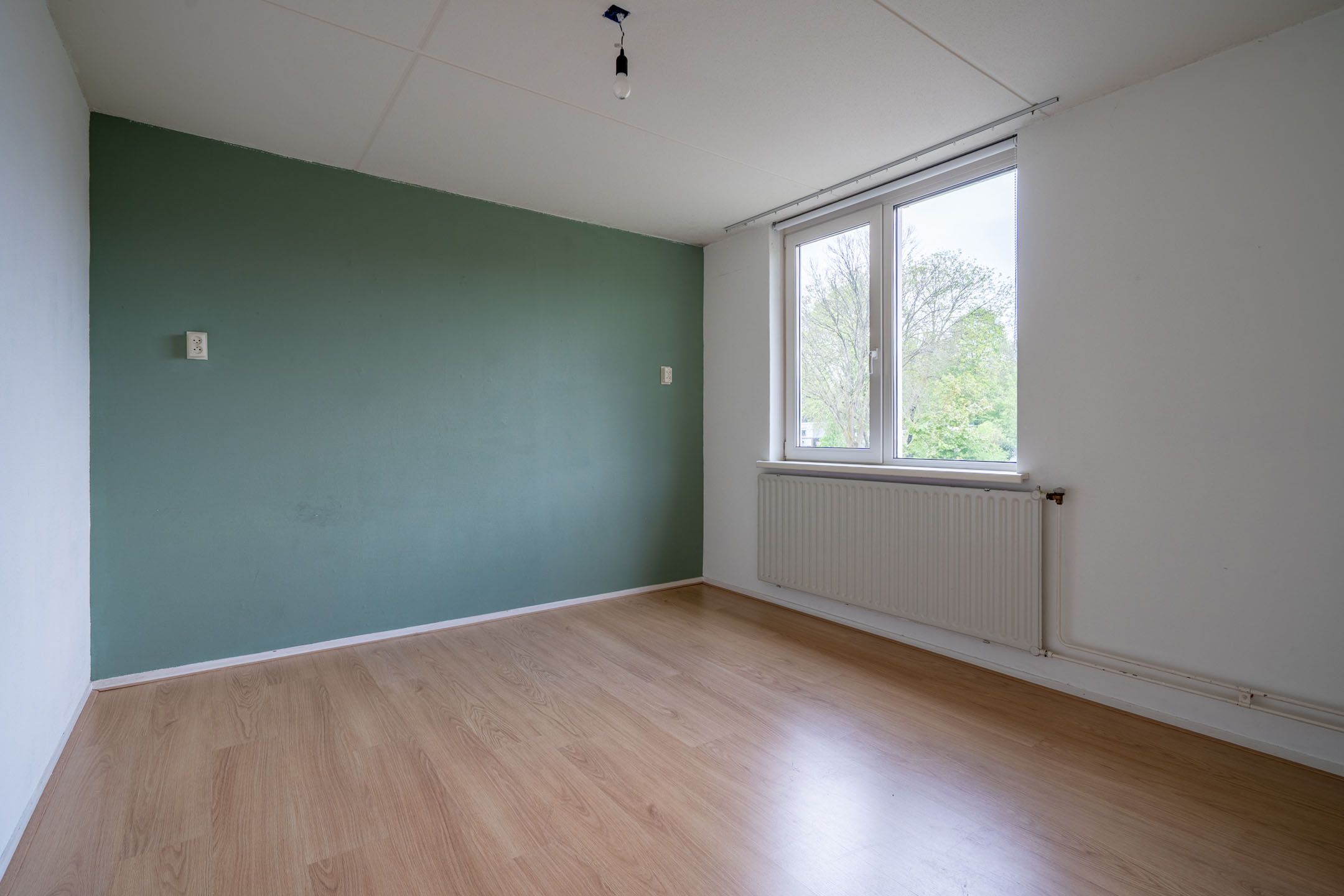 Foto 12 van Ellertsveld 2