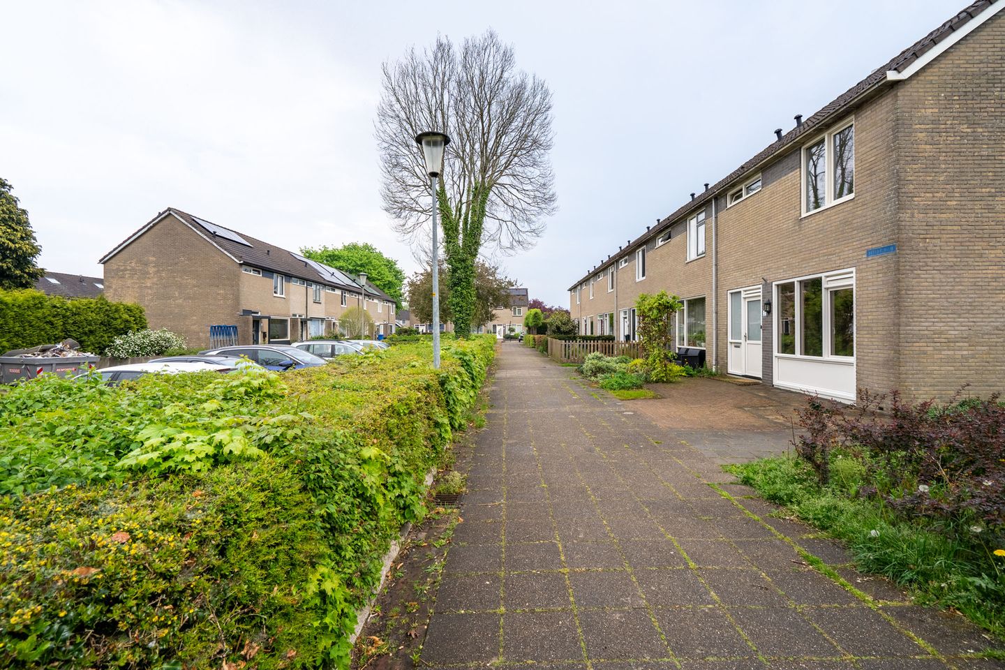 Foto 25 van Ellertsveld 2