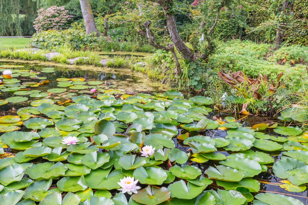 Foto 71 van Wielewaal 28