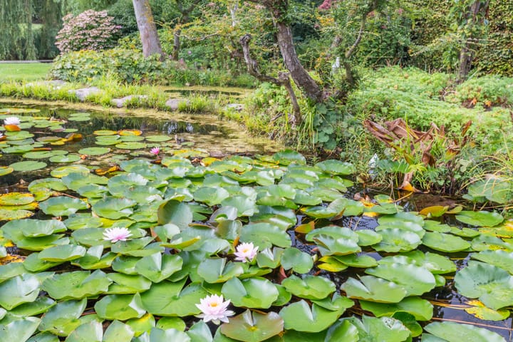 Foto 71 van Wielewaal 28